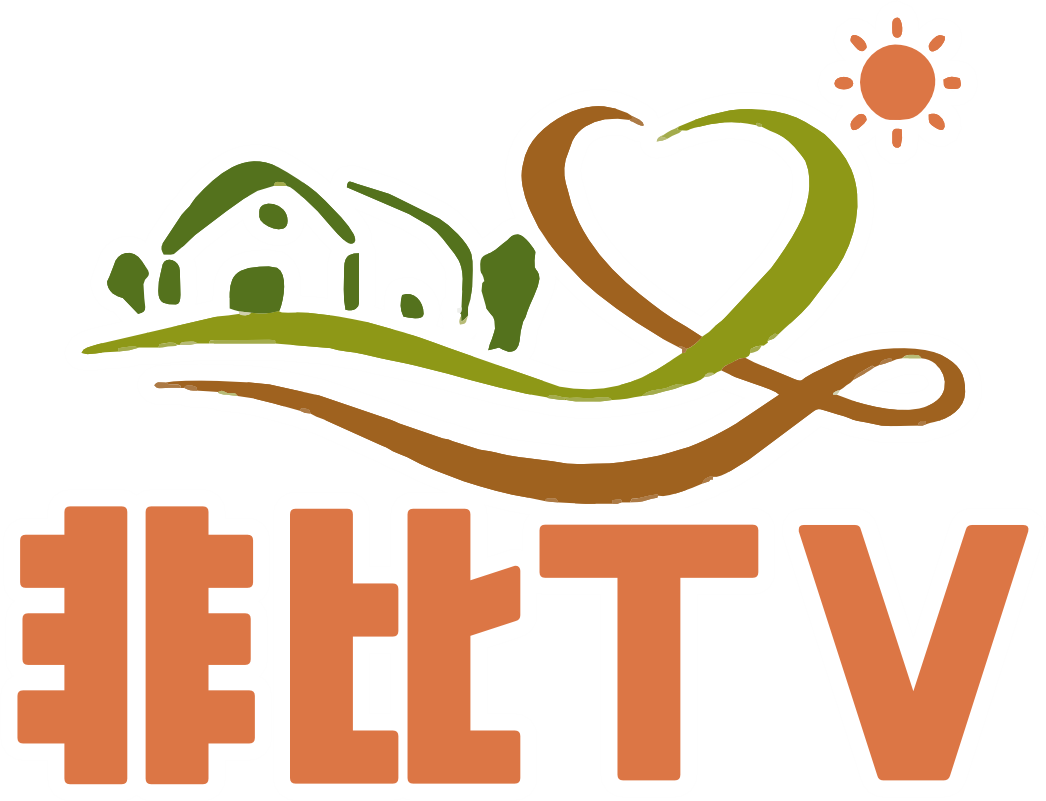 fibitv.tv